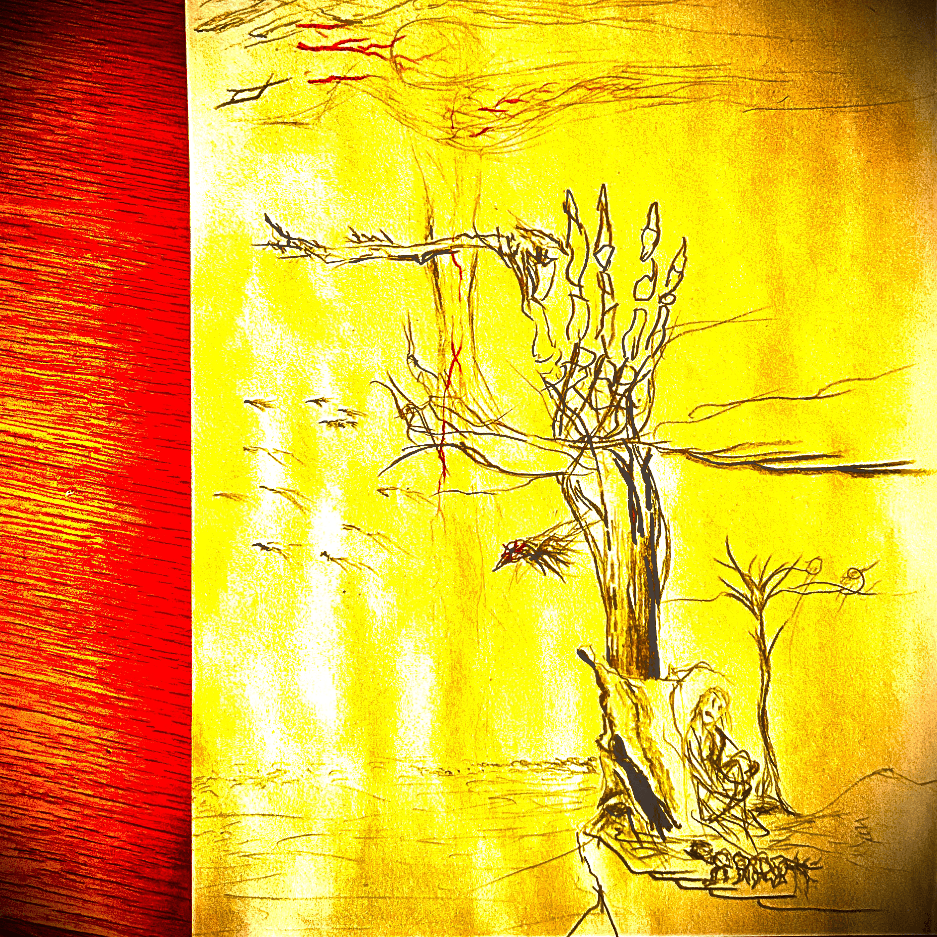 album_art